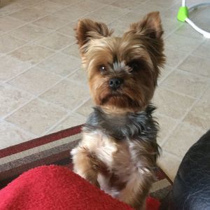 Meet your Posher, Bonnie